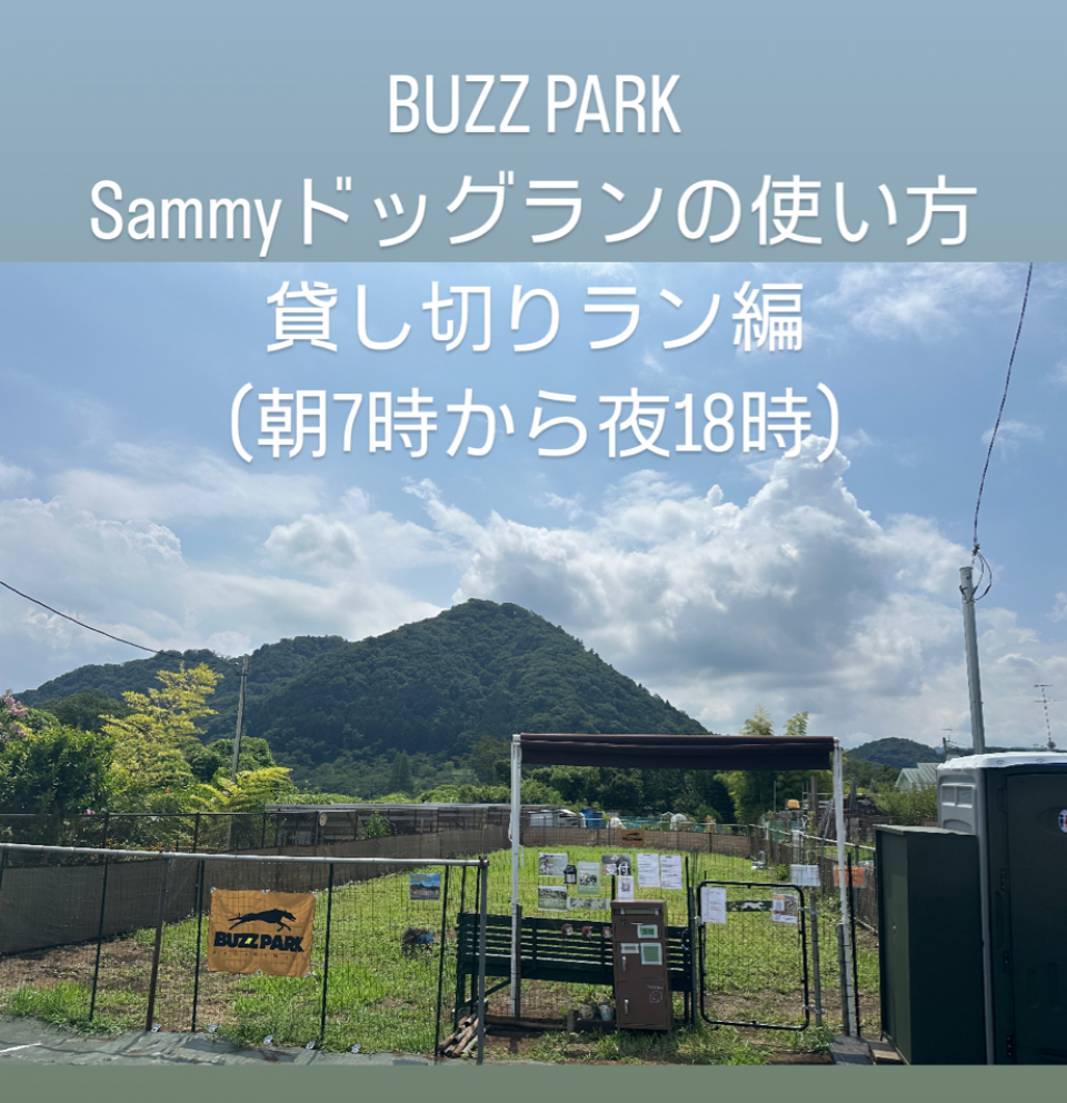 バズパーク