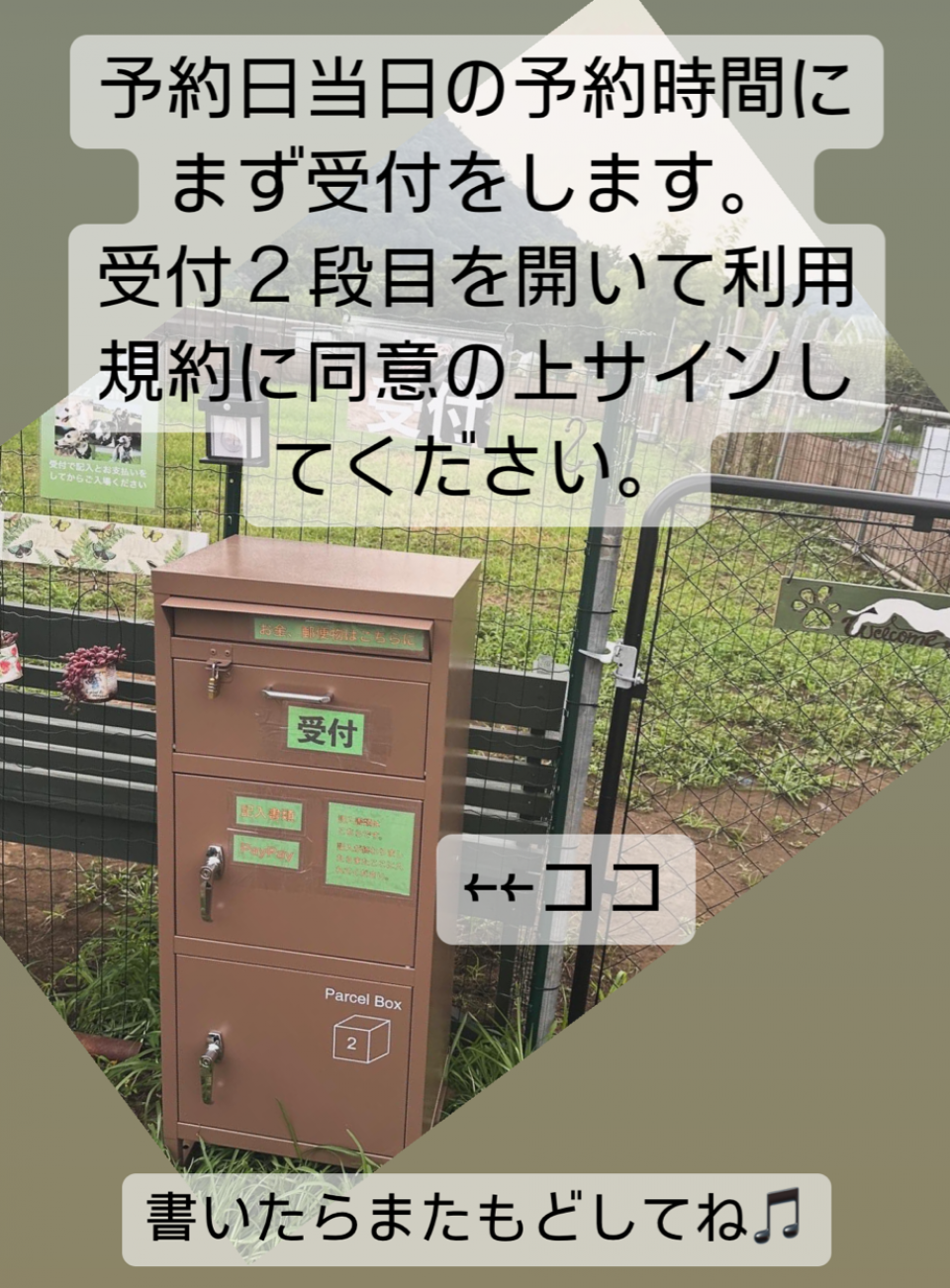インスタ