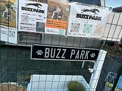 BUZZ PARK