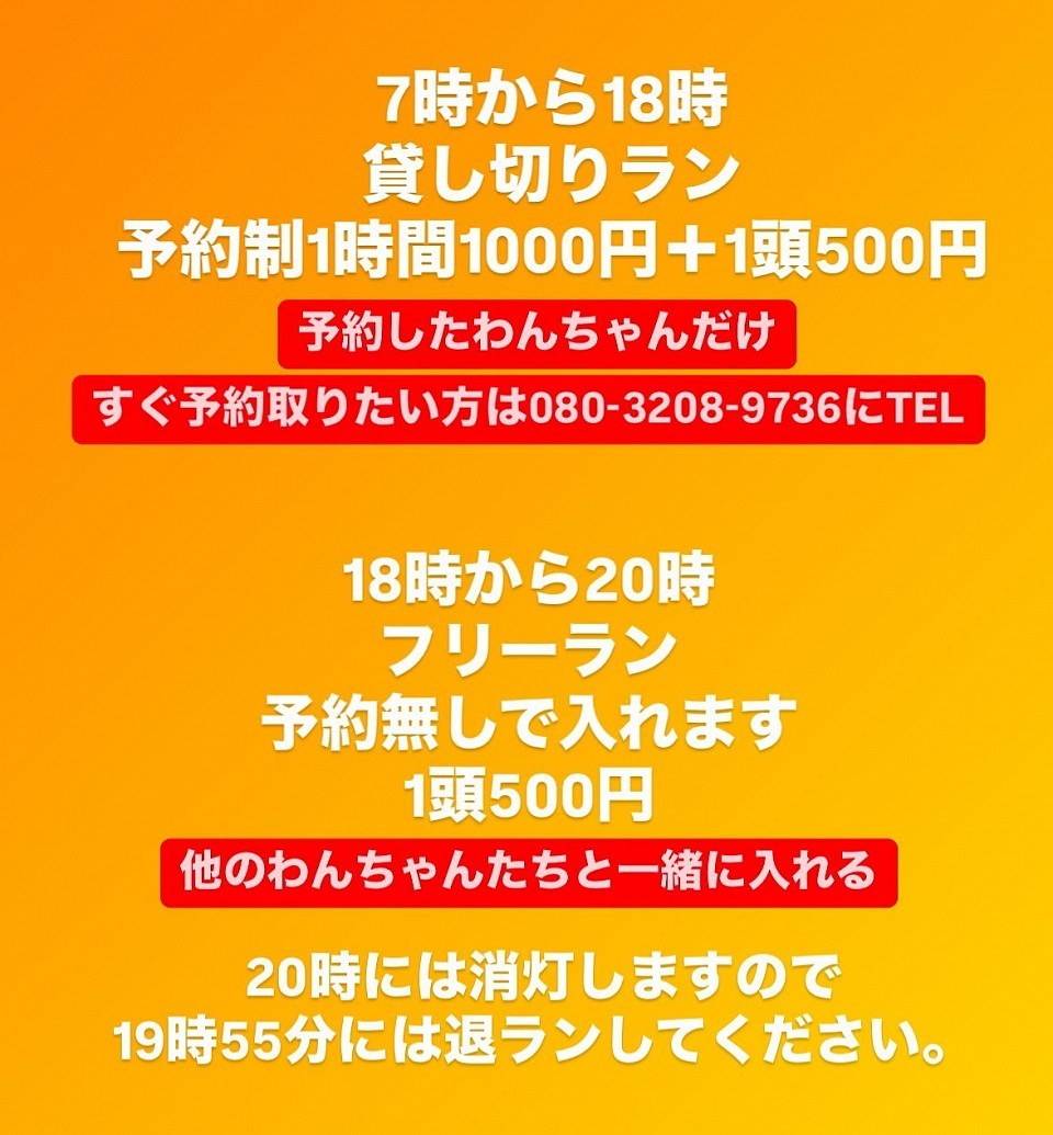 料金