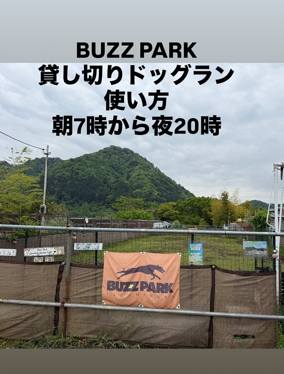 バズパーク
