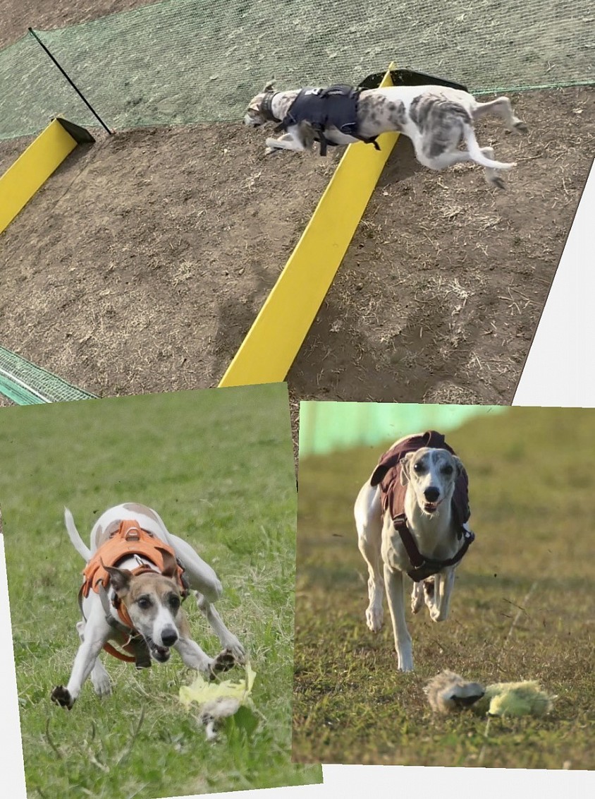 個別ルアーコーシング体験会